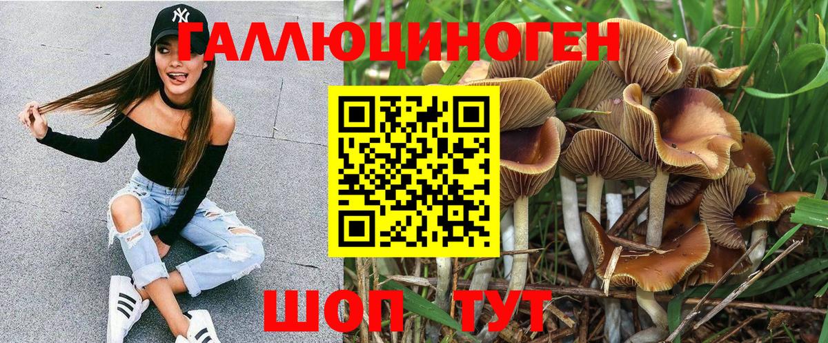 Псилоцибиновые грибы Cubensis  Вход с VPN  купить закладку  Калининград 