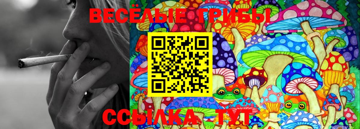 Галлюциногенные грибы ЛСД Калининград